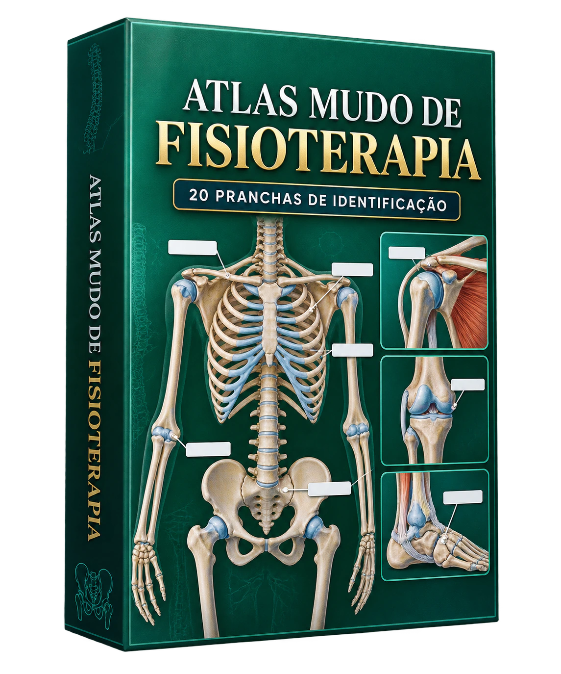 Mockup completo do Atlas Mudo de Fisioterapia
