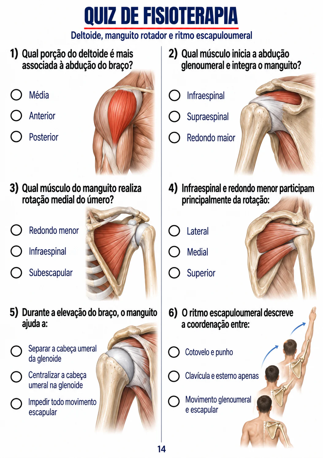 Quiz sobre deltoide e manguito rotador